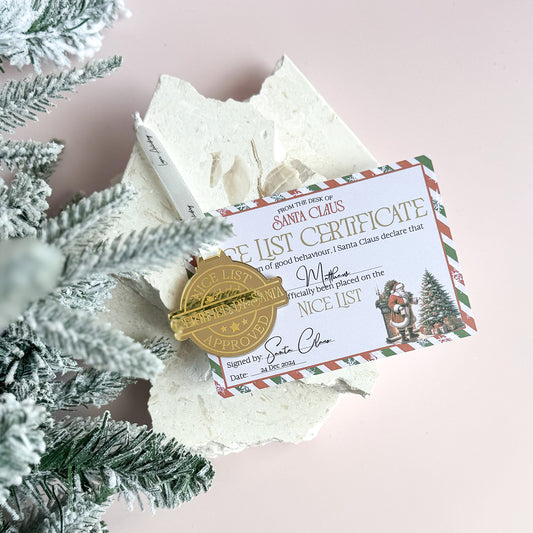 Nice List Medal